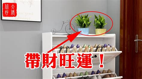 鞋櫃 風水|【鞋櫃風水】鞋櫃上千萬不能放的物品，有破財之患，。